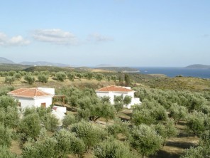 3 Villas with a Shared Pool in an Olive Grove near Coastal Methoni and Finikounda, Peloponnese, Greece